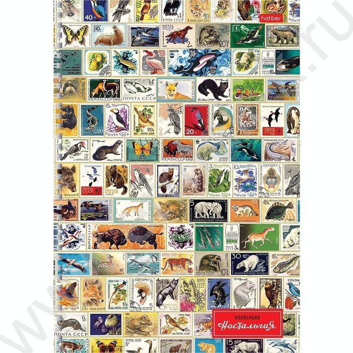 Тетрадь  96л А4 клетка/спираль "Ностальгия" /мат ламин,тиснение/ ассорти | Фото 4