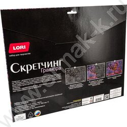 Набор д/творчества Скретчинг "Зимний Петербург" 30*40 | Фото 5