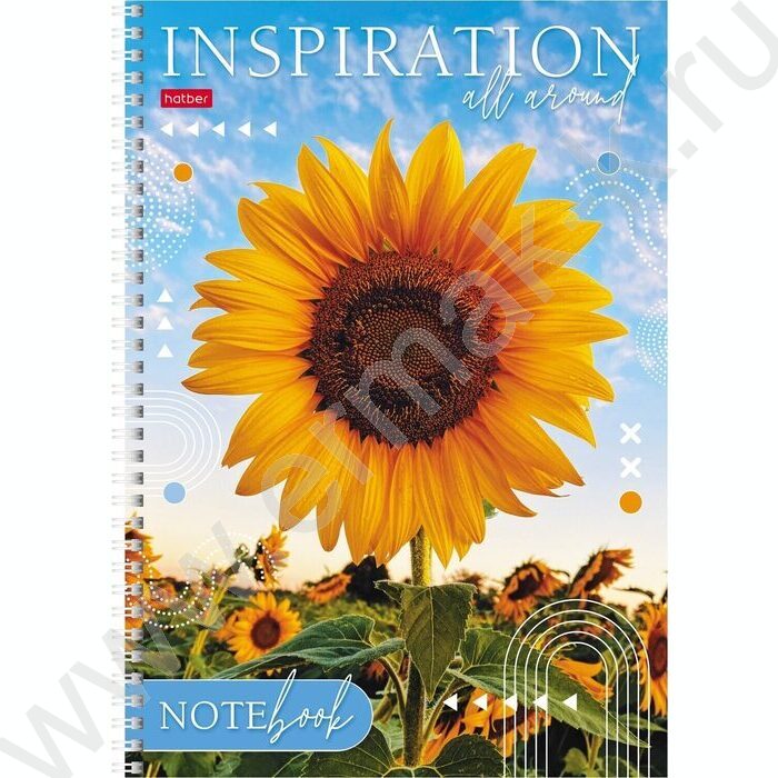 Тетрадь  80л А4 линейка/спираль "Вдохновение" ассорти | Фото 3