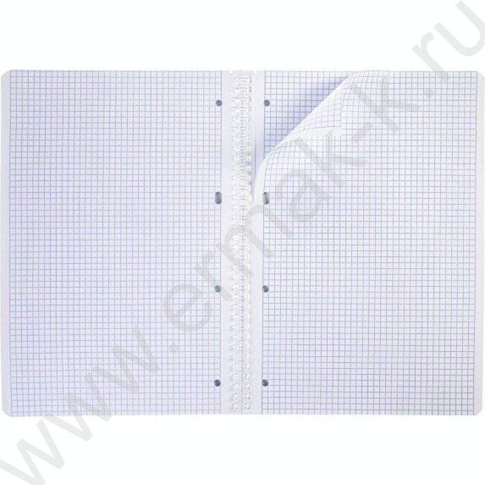 Тетрадь  96л А4 клетка/спираль "Живопись и мир" 4вида | Фото 5