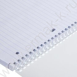 Тетрадь  96л А4 линейка/спираль "Floral collection" /выб лак/ ассорти | Фото 5