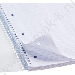 Тетрадь  96л А4 линейка/спираль "Лабиринт" /глянц.ламин,тиснение/ ассорти | Фото 6