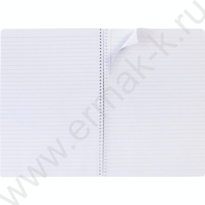 Тетрадь  96л А4 линейка/спираль "Студенту- Синяя" /мат.ламин,тиснение/ ассорти | Фото 2