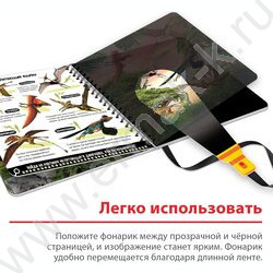 Секретная книга с волшебным фонариком Диноленд | Фото 7