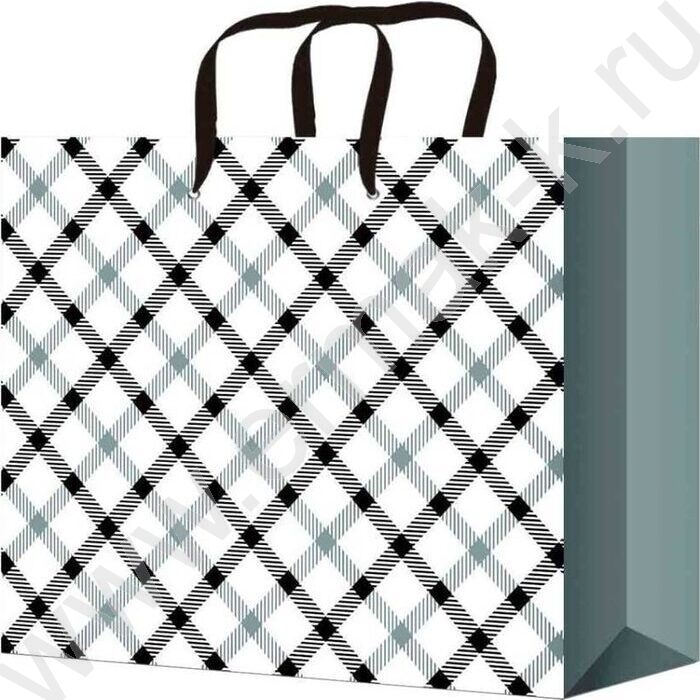 Пакет подарочный с глянцевой лам.128гр 26,4*32,7*8см (L) Стильная клетка | Фото 1