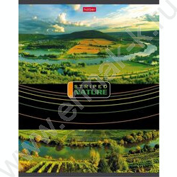 Тетрадь  96л линейка "Полосатый мир" | Фото 1