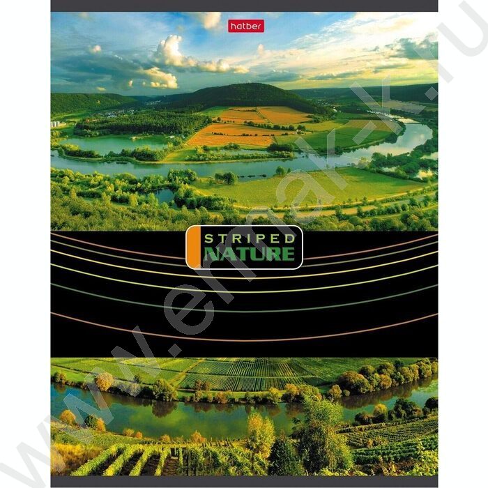 Тетрадь  96л линейка "Полосатый мир" | Фото 1
