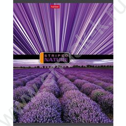 Тетрадь  96л линейка "Полосатый мир" | Фото 2