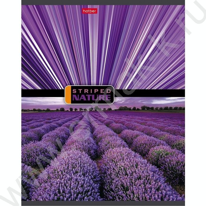 Тетрадь  96л линейка "Полосатый мир" | Фото 2