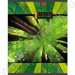 Тетрадь  96л линейка "Полосатый мир" | Фото 3