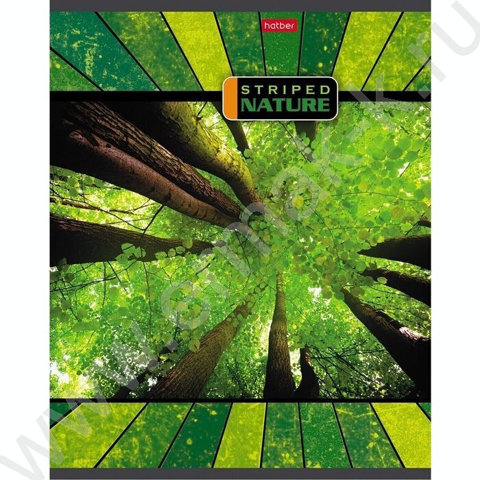 Тетрадь  96л линейка "Полосатый мир" | Фото 3