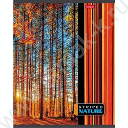 Тетрадь  96л линейка "Полосатый мир" | Фото 4