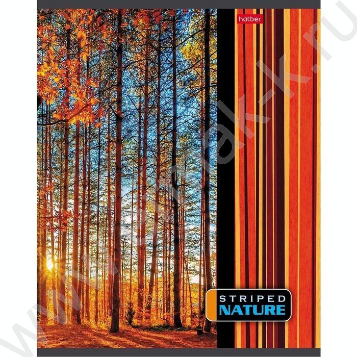 Тетрадь  96л линейка "Полосатый мир" | Фото 4