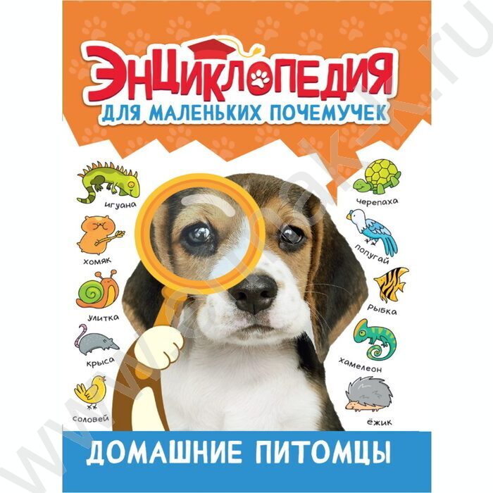 Энциклопедия для маленьких почемучек.Домашние питомцы | Фото 1