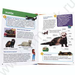 Энциклопедия для маленьких почемучек.Домашние питомцы | Фото 3