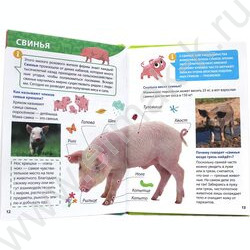 Энциклопедия для маленьких почемучек.Животные фермы | Фото 4