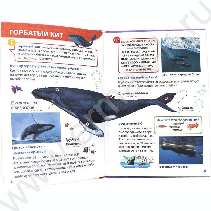Энциклопедия для маленьких почемучек.Красная книга | Фото 3