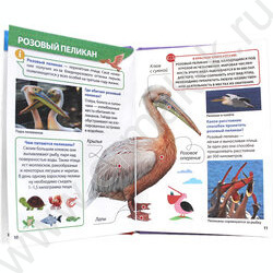 Энциклопедия для маленьких почемучек.Красная книга | Фото 4