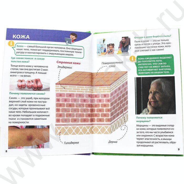 Энциклопедия для маленьких почемучек.Тело человека | Фото 3