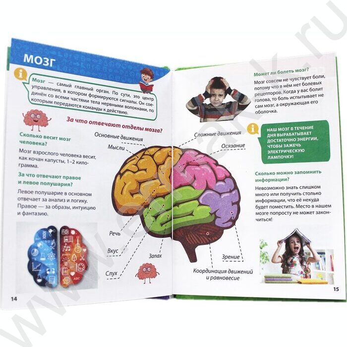 Энциклопедия для маленьких почемучек.Тело человека | Фото 4