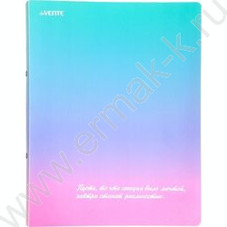 Папка 2 кольца 30мм "Degrade" фактура "песок" 0,65мм, карман внутр./вмест.250л | Фото 1