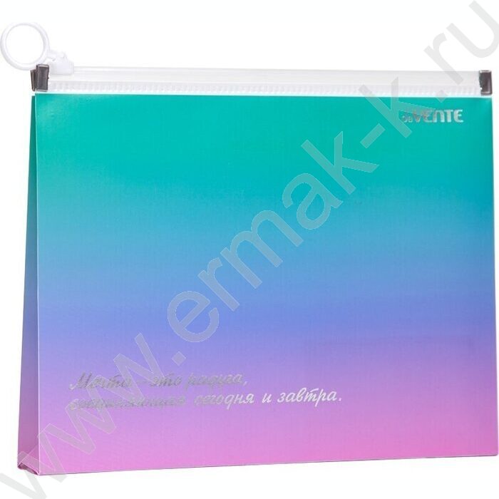 Папка-конверт на молнии А5 с расширением "Degrade" /с рисунком, 180мкм, тиснен фольгой | Фото 1