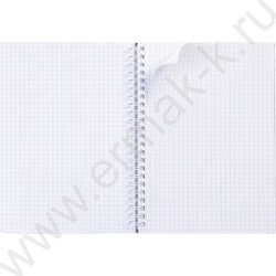 Тетрадь  80л клетка/спираль/тв.обл./двойная "Яркие цитаты" | Фото 2