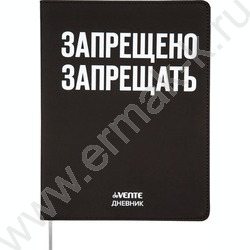 Дневник 1-11кл. /лайт /иск.кожа /шелкография /отстрочка /ляссе "Запрещено запрещать" | Фото 1