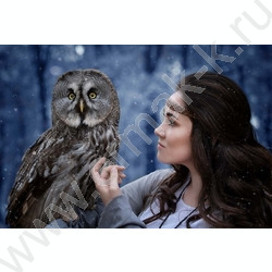 Мозаика алмазная Девушка с совой /30*40см с подрамником,с полным заполн | Фото 1