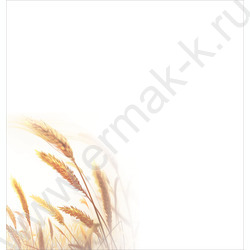 Открытка  97*204мм "23 февраля!" | Фото 2