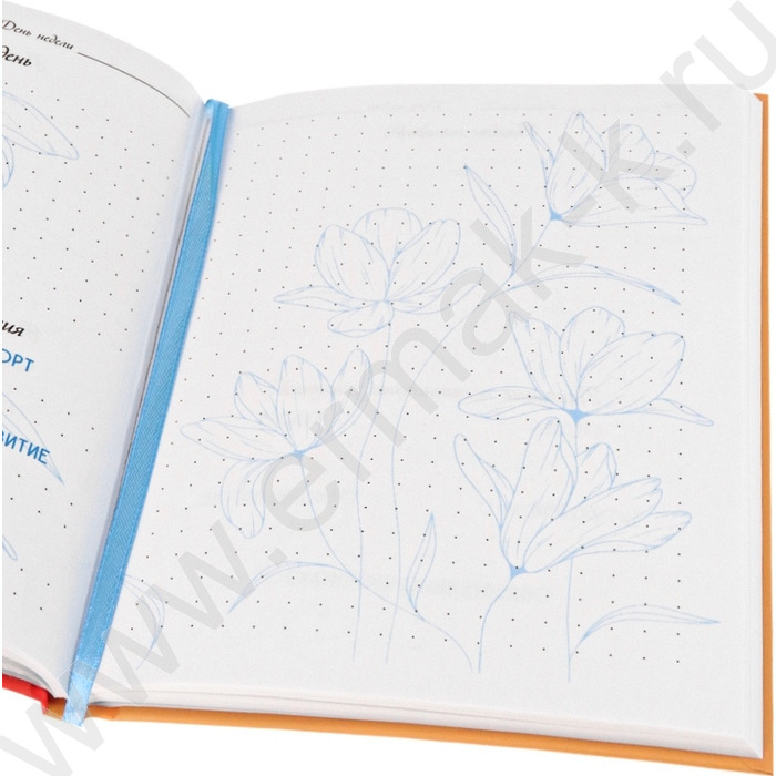 Ежедневник н/дат А5  64л Продуктивный день /тв.обл.,мат.ламин/выб.лак/ | Фото 3