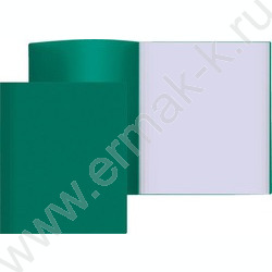 Папка  80 файлов  зеленая | Фото 1