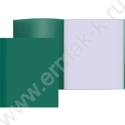 Папка 100 файлов  зеленая | Фото 1