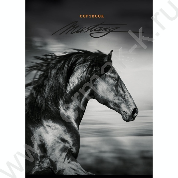 Тетрадь  48л А4 клетка "Профиль коня" | Фото 1