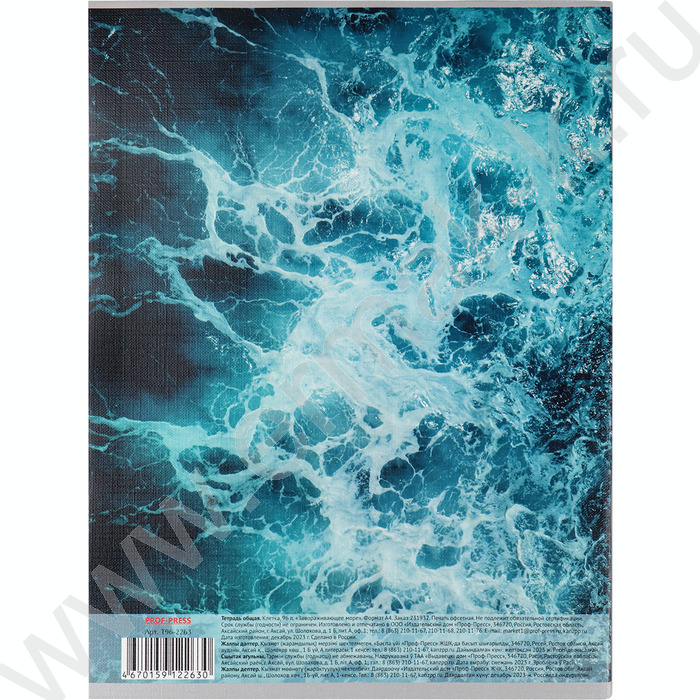 Тетрадь  96л А4 клетка "Завараживающее море" | Фото 3
