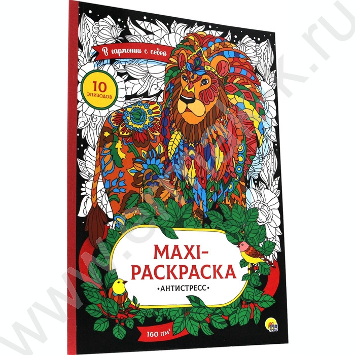 Раскраска-антистресс MAXI. В гармонии с собой | Фото 1