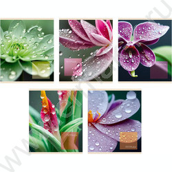 Тетрадь  48л клетка "Чарующая природа" 5видов /мат. ламин. с эфф. "Мокрый шелк"/ | Фото 1