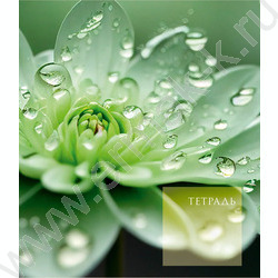 Тетрадь  48л клетка "Чарующая природа" 5видов /мат. ламин. с эфф. "Мокрый шелк"/ | Фото 2