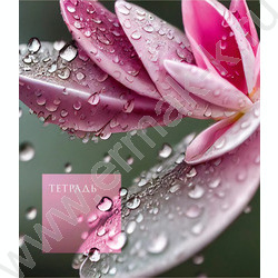 Тетрадь  48л клетка "Чарующая природа" 5видов /мат. ламин. с эфф. "Мокрый шелк"/ | Фото 3