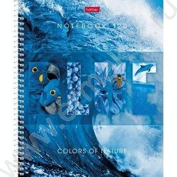 Тетрадь 120л клетка/спираль/тв.обл. "Гармония цвета" | Фото 1