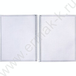 Тетрадь 120л клетка/спираль/тв.обл. "Лунный свет" | Фото 2