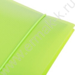 Тетрадь 120л клетка/кольца/пластик.обл./резинка "LINE  NEON Зеленая" | Фото 3