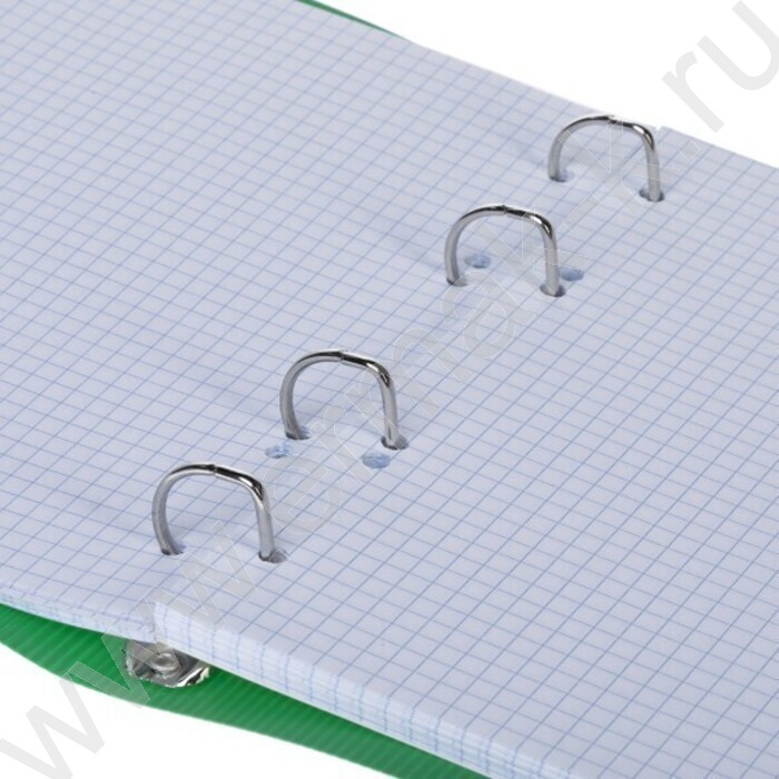 Тетрадь 120л клетка/кольца/пластик.обл./резинка "VELVET Зеленая" | Фото 2