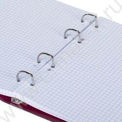 Тетрадь 120л клетка/кольца/пластик.обл./резинка "VELVET Бордо" | Фото 2