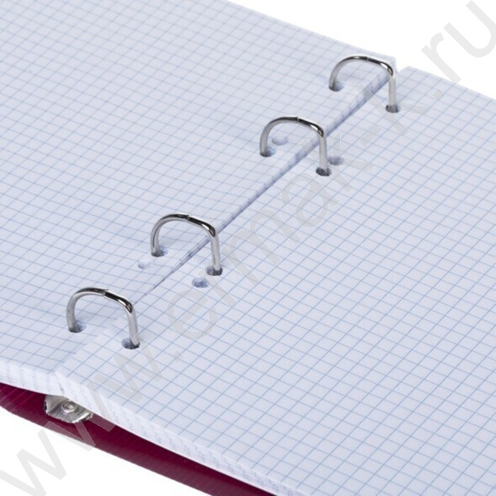 Тетрадь 120л клетка/кольца/пластик.обл./резинка "VELVET Бордо" | Фото 2