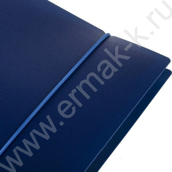 Тетрадь 120л клетка/кольца/пластик.обл./резинка "CANVAS Синяя" | Фото 3