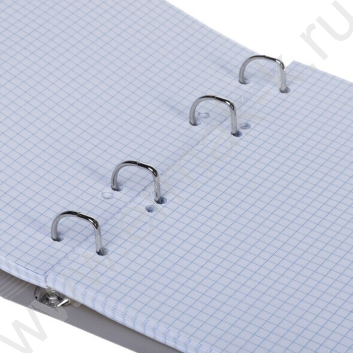 Тетрадь 120л клетка/кольца/пластик.обл./резинка "CANVAS Серая" | Фото 2