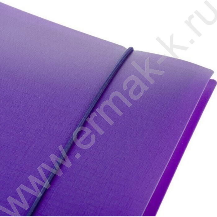 Тетрадь 120л клетка/кольца/пластик.обл./резинка "CANVAS Фиолетовая" | Фото 3