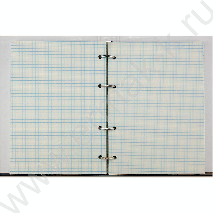 Тетрадь  80л клетка/кольца "Black&White" со смен.блоком | Фото 2