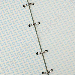 Тетрадь  80л клетка/кольца "Black&White" со смен.блоком | Фото 3